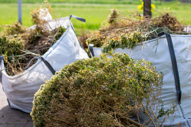 Best Full-Service Junk Removal  in Parkersburg, IA